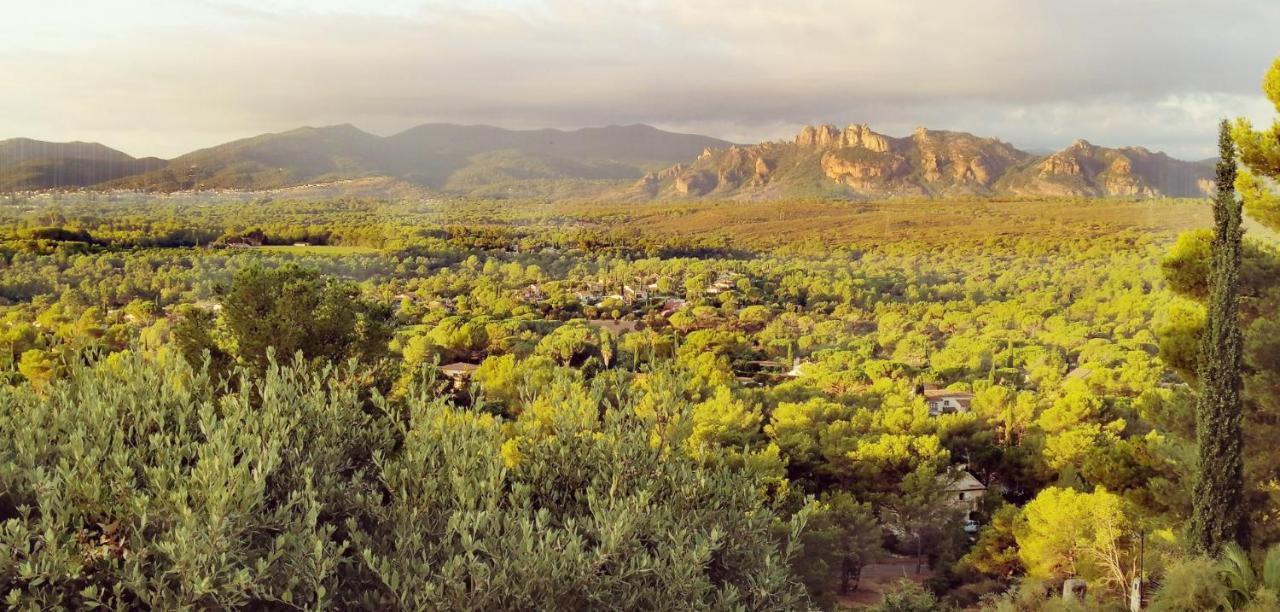 Corniche Du Paradis Roquebrune-sur Argens Bagian luar foto